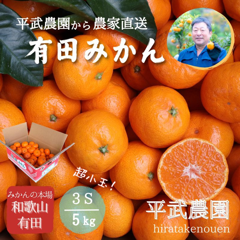 農家直送！有田みかん（5kg 3Sサイズ（超小玉）秀品）平武農園　～蛍飛ぶ町から旬の便り～
