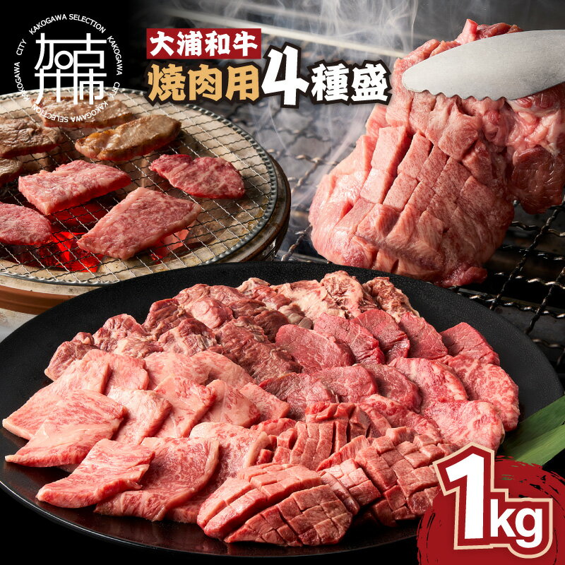 【ふるさと納税】★選べる発送月★大浦和牛焼肉セット(1kg)《 牛肉 牛 国産 焼肉 セット おすすめ ロース 美味しい 牛タン ハラミ ヘレ フィレ ヒレ ヒレ肉 食べ比べ バーベキュー 選べる 選べる発送月 送料無料 楽天市場 》