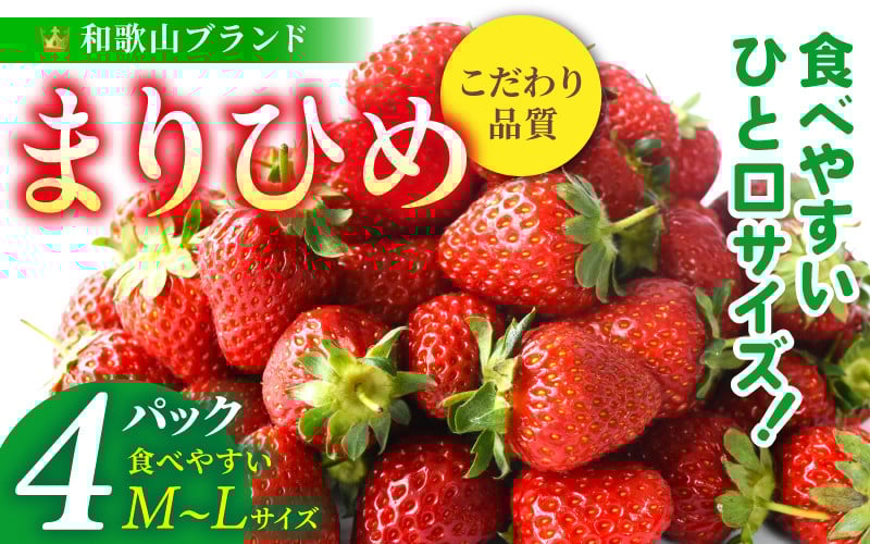 
            【先行予約】まりひめイチゴ4パック 食べやすいひと口サイズ M～L（15粒～20粒入×4パック）【2026年1月初旬～3月下旬頃に順次発送】（お届け日指定不可）/ いちご 苺 まりひめ 和歌山 フルーツ【kgr034】
          