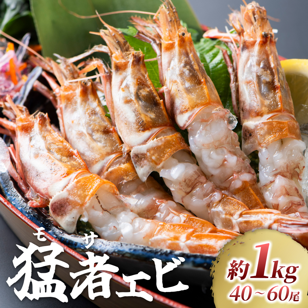 【23001】「幻のえび」モサエビ