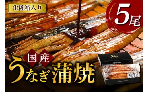 うなぎ 国産 うなぎ蒲焼き 5尾 [モリカン 徳島県 北島町 29bh0003] ウナギ 鰻 unagi うなぎ蒲焼 真空パック 真空 パック 冷蔵