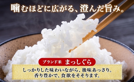 令和7年度産 新米 白神の里 西目屋村産 まっしぐら 白米5kg 白米 1袋5kg 青森ブランド米 米 お米 コメ こめ ご飯 ごはん 和食 炊き立て 国産 備蓄 送料無料 つややか 青森県 西目屋村
