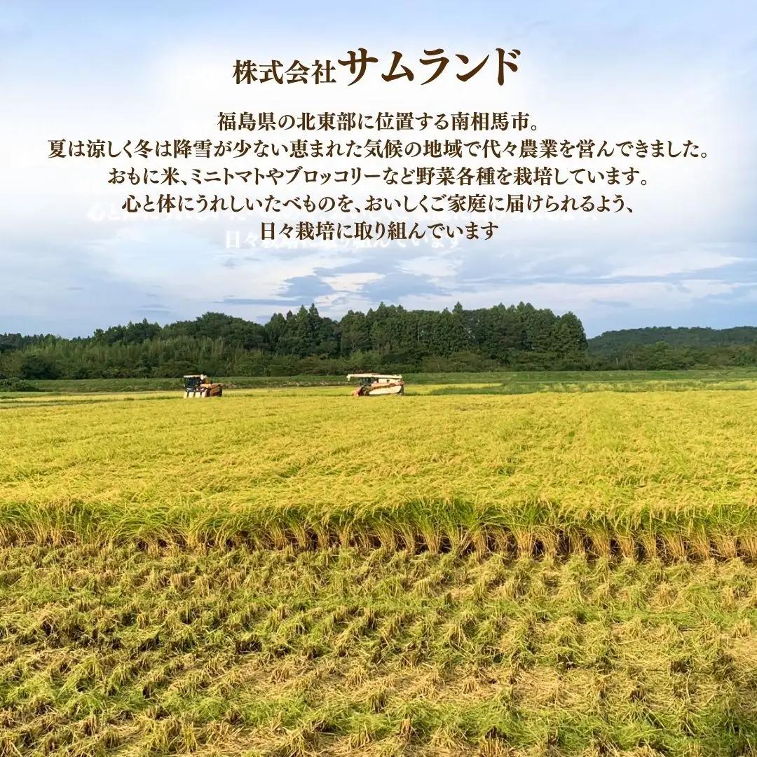 定期便 にじのきらめき 玄米30キロ (5kg×6回) 令和8年産 | 定期便 玄米 サムランド