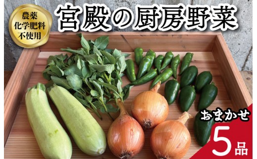 
                  宮殿の厨房野菜 六月農園 おまかせ 5品 セット 野菜 セット 産地直送 おまかせ 季節の野菜 旬 詰め合わせ 人気 限定 有機栽培 オーガニック 明和町 国産 リピート
                