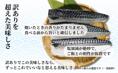 訳あり 塩サバ フィーレ 約3.5kg 冷凍 おかず 惣菜 鯖 さば 魚 海鮮 大容量 銚子 訳あり 大人気サバ 訳あり 人気サバ 訳あり 海鮮サバ 訳あり 冷凍サバ 訳あり 塩 サバ 訳あり 切り身