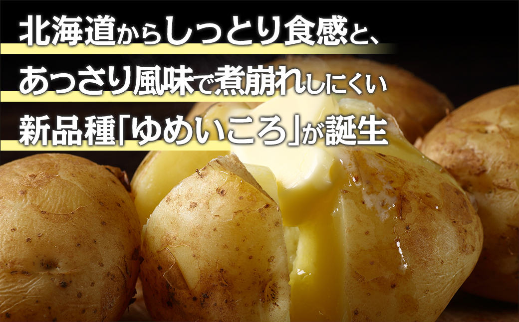 【先行予約】じゃがいも（ゆめいころ） Lサイズ 10kg 大空町産（2026年10月以降順次発送） OSR011