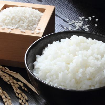 ふるさと納税 養父市 【毎月定期便】【蛇紋岩ブランド　別格米30kg】全3回 |  | 01