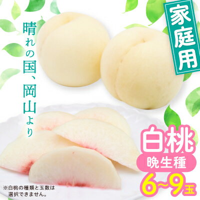 【ふるさと納税】岡山白桃・晩生(ご家庭用)6～9玉入り【2025年8月中旬より発送予定】【配送不可地域：離島】【1460795】