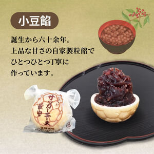 サッカー エース 最中 3種 15個 詰め合わせ 小豆 紅芋 抹茶 おやつ 菓子 和菓子 もなか 贈答 贈り物 プレゼント 祝い お取り寄せ グルメ ご当地 スイーツ 静岡県 藤枝市 （和菓子 最中 