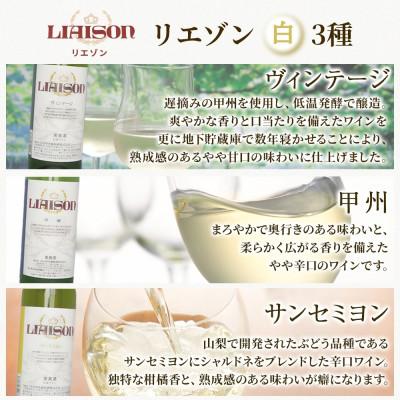 ふるさと納税 笛吹市 Liaisonリエゾン 6種6本セット 720ml 各1本 日川中央葡萄酒 山梨県 笛吹市 |  | 01