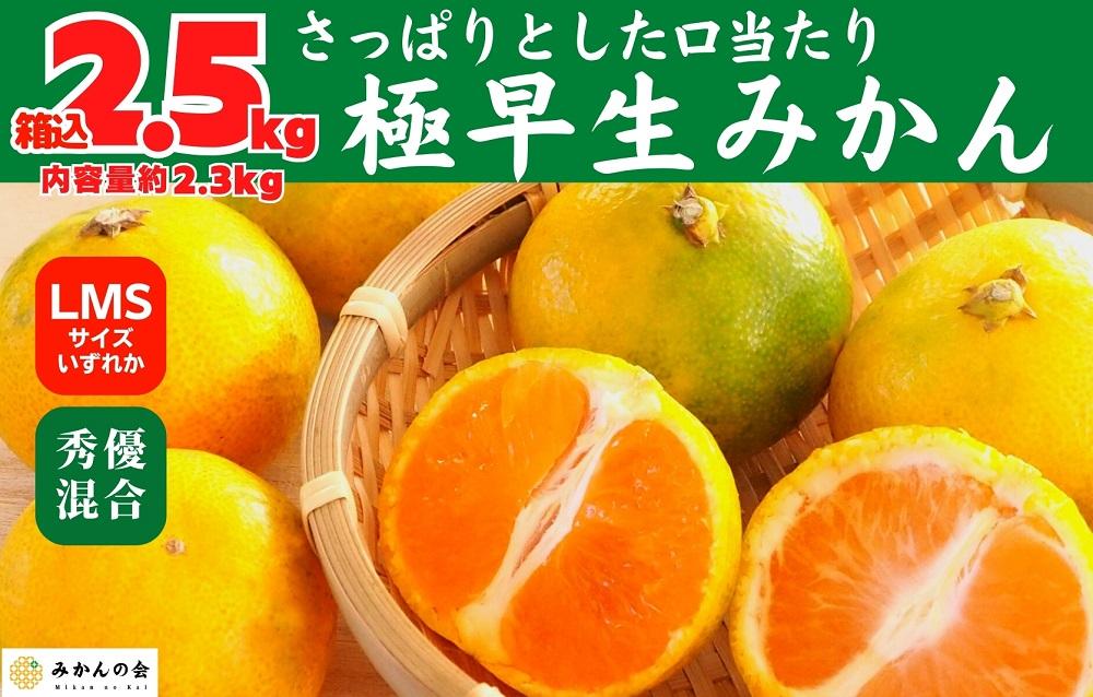 みかん 極早生 箱込 2.5kg (内容量約 2.3kg) S/M/Lサイズのいずれか 秀品 優品 混合 有田みかん 和歌山県産 【みかんの会】