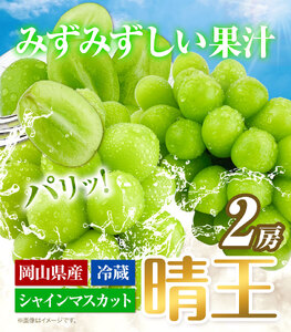 ぶどう [2024年先行予約] シャインマスカット 晴王 2房 1.3kg 岡山県産《9月上旬-11月中旬頃出荷(土日祝除く)》 ハレノフルーツ マスカット 送料無料 岡山県 浅口市 フルーツ 果物 