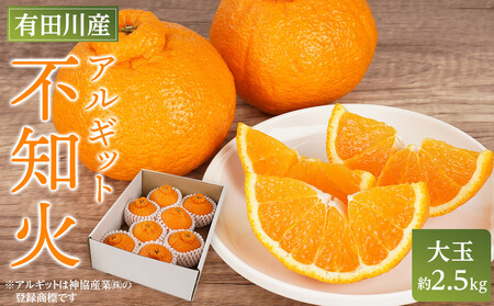アルギット 不知火 約2.5kg 大玉 サイズ（8～9玉）不知火