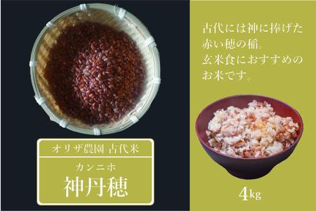 【ふるさと納税】オリザ農園 自然栽培の古代米「神丹穂(カンニホ)米」4kg(2kg×2袋) 2025年新米【長野県信濃町】