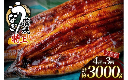 【3回定期便】うなぎ蒲焼き1.0kg以上(250g以上×4尾)【魚住商店】_AM0225-00 うなぎ 鰻 蒲焼 真空パック 福岡県宗像市 宗像市 福岡 宗像