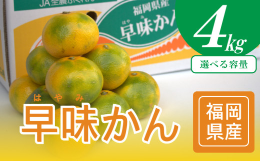 【2026年9月中旬から下旬にかけて順次発送】福岡ブランドみかん・早味かん約4kg 福岡県 川崎町