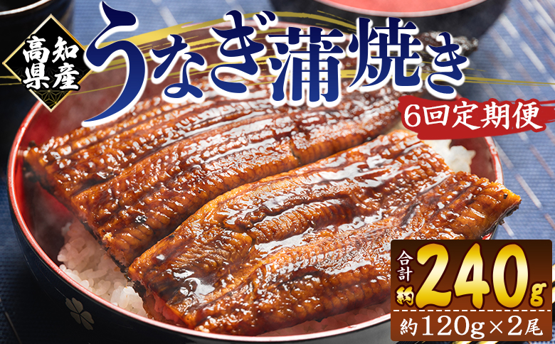 国産 うなぎ 定期便 100g～120g 2尾 6回 蒲焼き 高知県産 養殖 魚介 国産 海鮮 魚 かばやき 鰻 ウナギ 惣菜 おかず お手軽 加工品 加工食品 冷凍 Wfb-0039