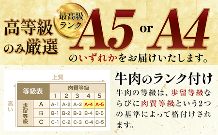 黒毛和牛 ロース カルビ 切り落とし 1kg | 黒毛和牛