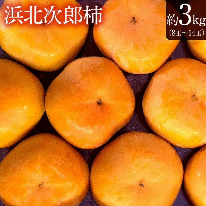 【ふるさと納税】静岡県浜松市産 次郎柿 約3kg　8玉～14玉 柿 甘柿 フルーツ 果物 化粧箱入 静岡 浜松市【配送不可：離島】　お届け：2026年11月1日～11月30日まで