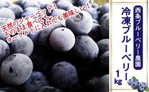 冷凍 ブルーベリー 1㎏ 【2026年6月下旬～9月頃発送】 ｜ 愛媛県西条市産 西条ブルーベリー農園 ブルーベリー 冷凍 ベリー フルーツ 果物 くだもの 産地直送 農家直送 数量限定 国産 愛媛 西条
