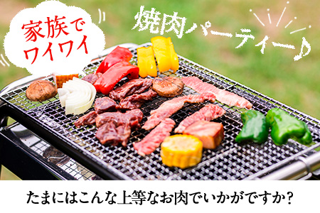 肥後のあか牛 焼き肉用 1000g 株式会社KAM Brewing《90日以内に出荷予定(土日祝除く)》 熊本県産 熊本県大津町