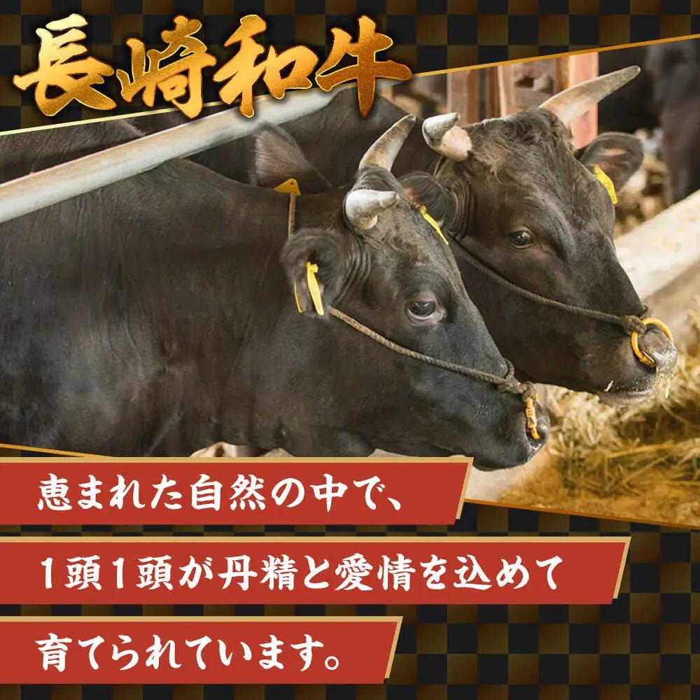 【最高級ブランド牛使用】 牛丼　5食 (90g×5パック) 赤ワイン仕込み 冷凍 レトルト 惣菜 肉 牛肉 小分け / 南島原市 / 道の駅ひまわり[SFR006]