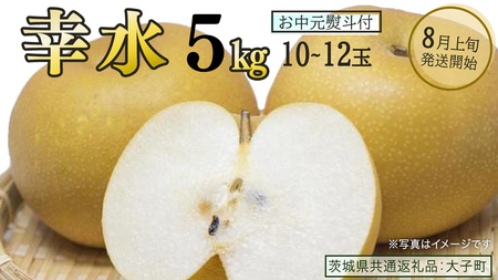 【 お中元 熨斗付き 】 幸水 約5kg (10～12玉)【2026年8月上旬発送開始】(茨城県共通返礼品：大子町)