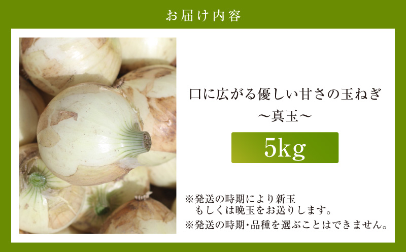 口に広がる優しい甘さの玉ねぎ ～真玉～　5kg(箱の重さ込み）・S097