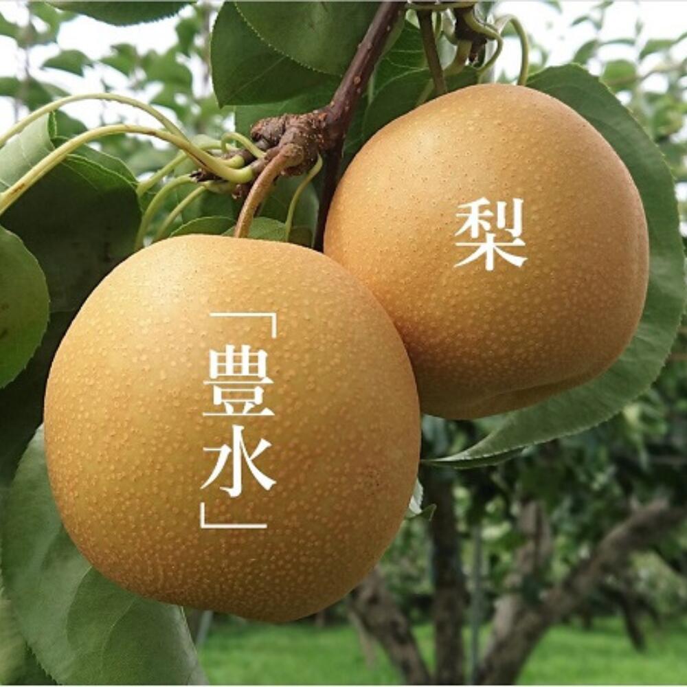 【ふるさと納税】秋初め和梨「豊水」旬 季節 果物 梨 和梨 なし【JA綾町】