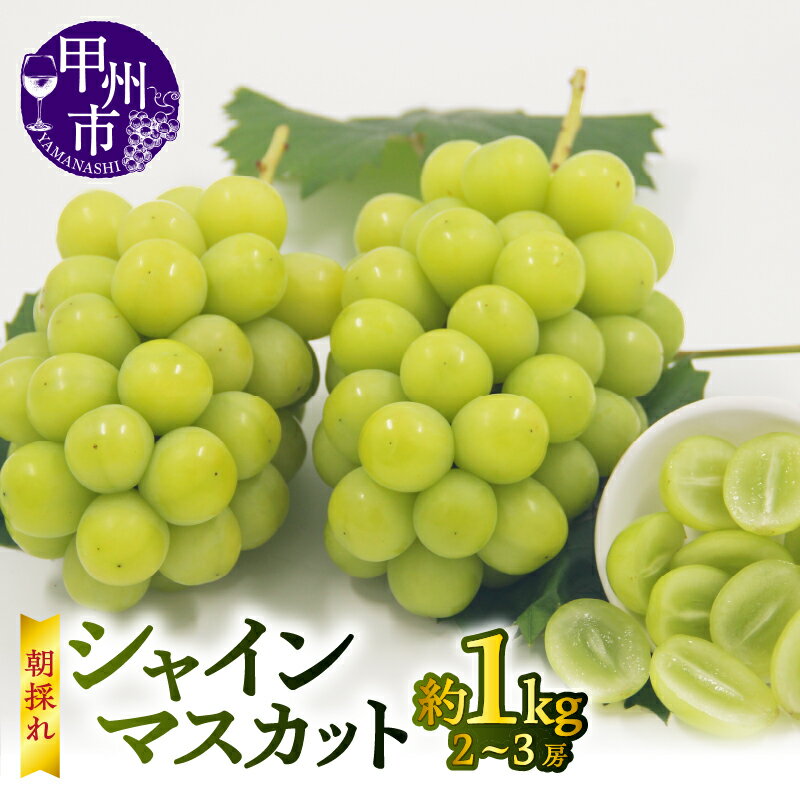 【ふるさと納税】 シャインマスカット 果物 約1.0kg 2～3房 甲州市産 2025年発送 宿沢フルーツ農園 朝採れ 新鮮 フルーツ ぶどう 山梨 期間限定 数量限定 贈答 ギフト 家庭用 8月 9月 10月 発送 山梨県 甲州市 社員マスカット (SF) 【B-181】