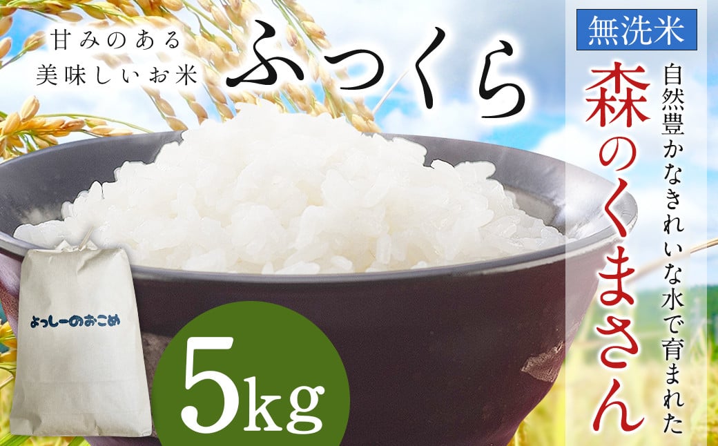 
            令和7年産 益城町 無洗米 森のくまさん 5kg お米 【2025年11月上旬より順次発送予定】
          