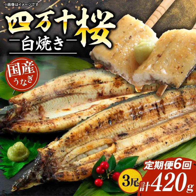 【通常用】【6回定期便】極上国産うなぎ四万十桜 白焼き約140g×3尾 うなぎ