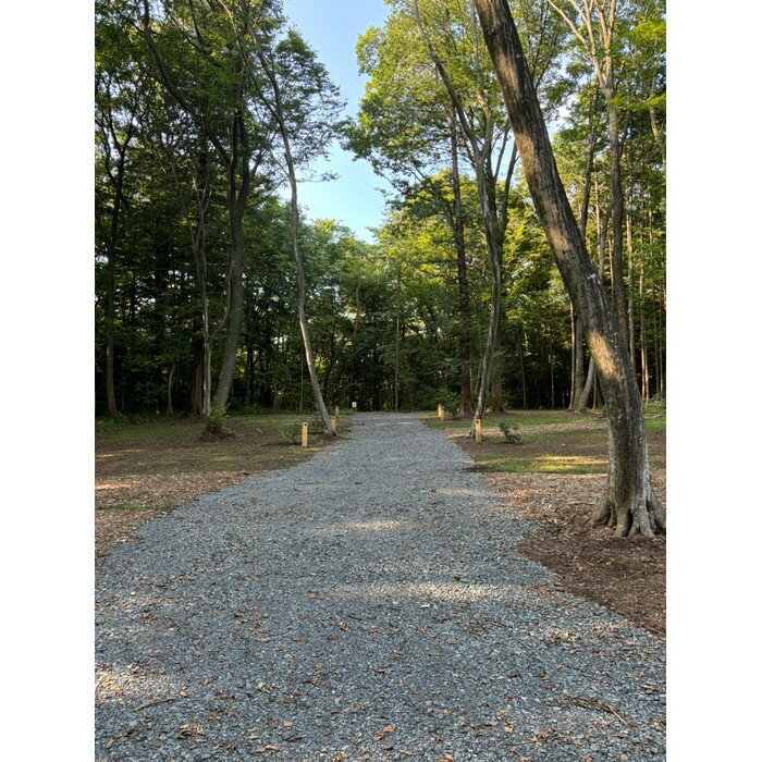 【ふるさと納税】NASU SATOYAMA FIELD キャンプサイト 中 1泊 利用券(ハイシーズン4月~9月) | チケット 旅行 キャンプ 自然 体験 BBQ アクティビティ 那須 栃木 | 券 キャンプ 体験 人気 おすすめ 送料無料