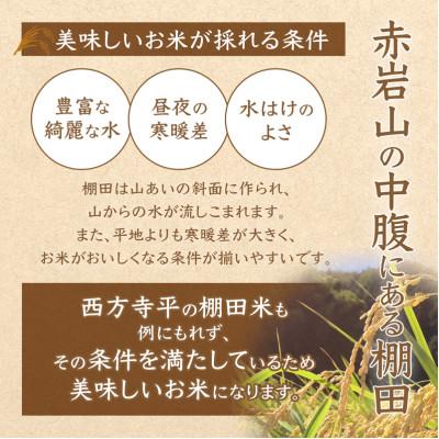 ふるさと納税 舞鶴市 令和8年産 棚田米 玄米 15kg 栽培期間中農薬不使用 |  | 01