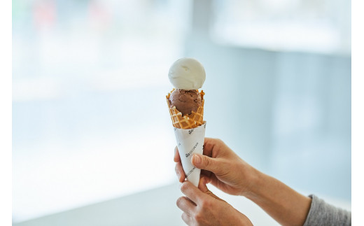 HiO ICE CREAM　＜全3回定期便＞美瑛シングルオリジンミルク　塩キャラメル　フローラルチョコレート　3種12個を月１回お届け（３か月連続））