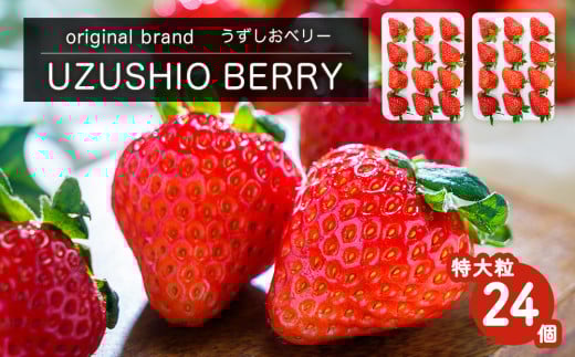【朝摘みをお届け！】【予約受付中・2025年12月中旬頃より順次発送】 フルーツガーデンやまがたのいちご「うずしおベリー」特大粒24個  【数量限定】 苺 いちご イチゴ 徳島 鳴門 果物 フルーツ ギフト 甘い 旬 紅ほっぺ