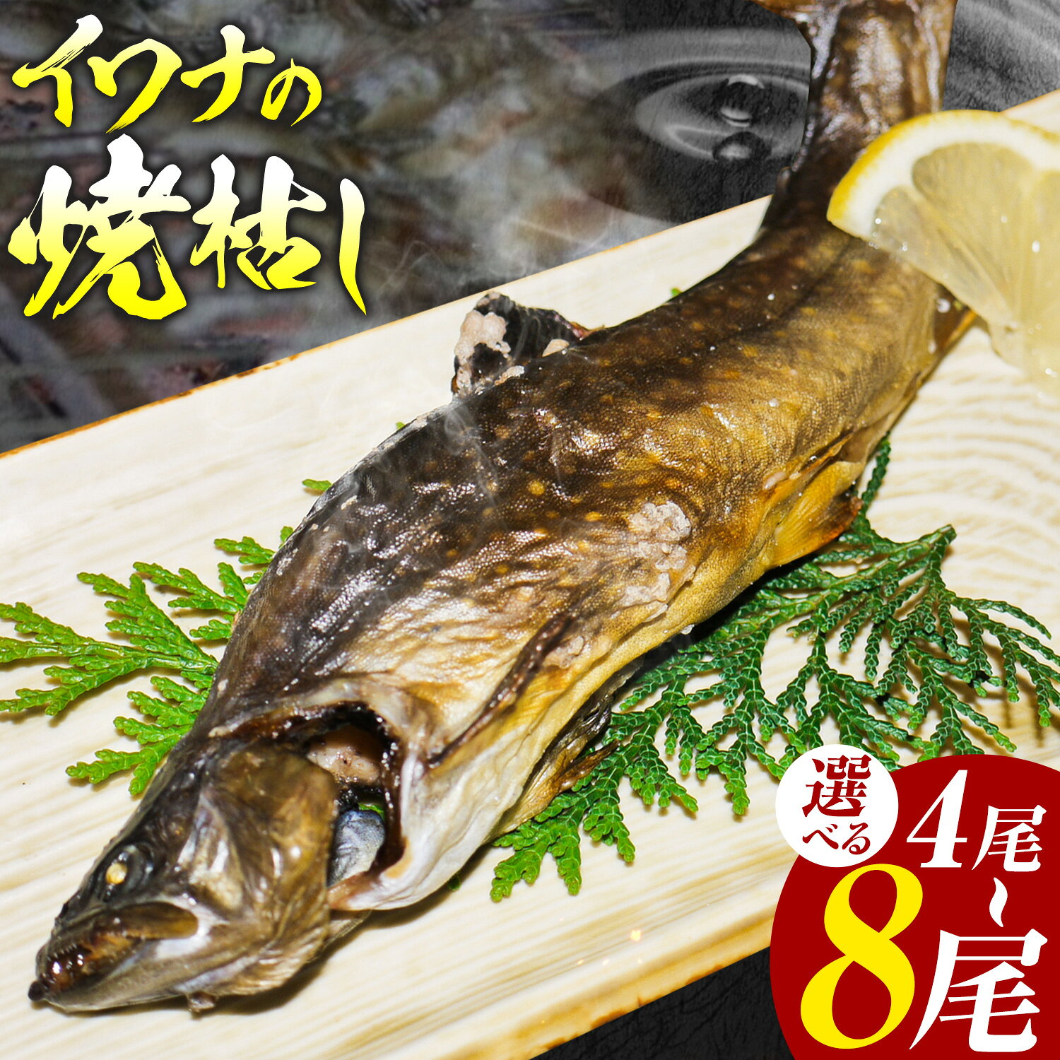 【ふるさと納税】イワナの焼枯し 岩魚 4尾入り 8尾入り 《14日以内に出荷予定(土日祝除く)》 黒姫ガーデン合同会社 長野県 信濃町 さかな 魚