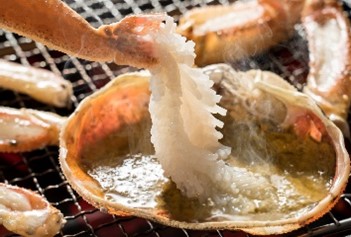 【22014】鳥取県網代産　松葉がに（ブランドタグ付き）500g以上（生）