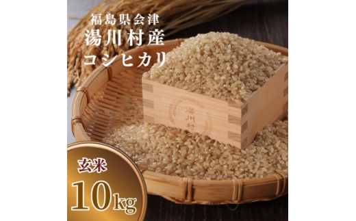 令和8年産湯川村産コシヒカリ(玄米) 10kg  R9.5月発送分【1773947】