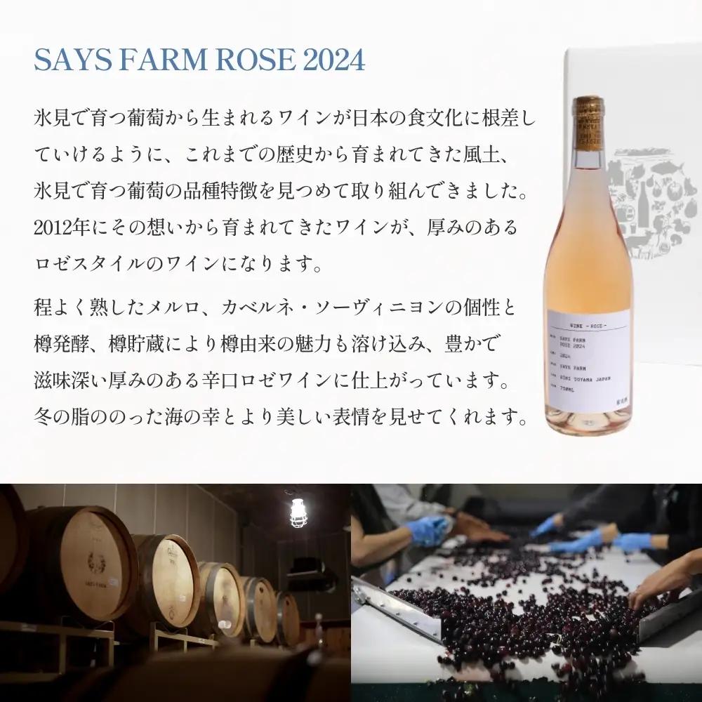 SAYSFARM ROSE2024 ワイン ロゼ | ロゼワイン 国産 葡萄酒 地ワイン 富山県 氷見市