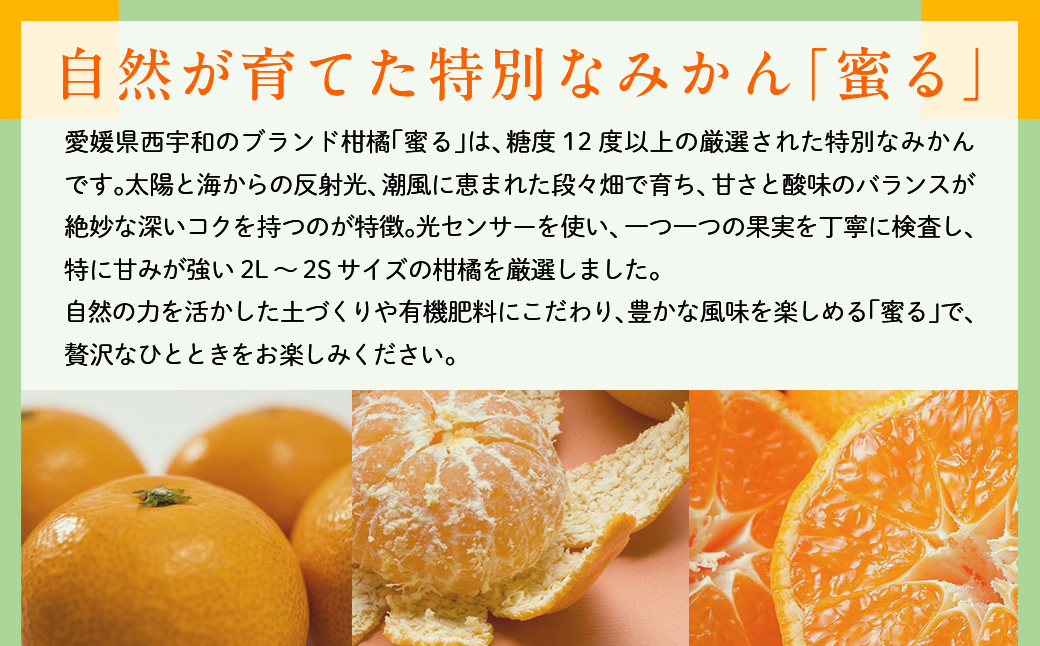 JAにしうわ みつる共選 「蜜る」8kg（2S～2L）4kg×2箱※離島への配送不可（2026年11月中旬より順次発送予定） IKTBC013