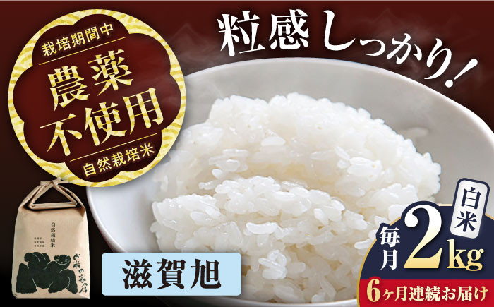 
                  ＜先行予約＞【令和8年産 新米】【全6回定期便】滋賀旭 2kg 白米 ×6回 自然栽培米 在来種   滋賀県長浜市/株式会社お米の家倉 [AQCP046] 米 定期便 白米  2kg 滋賀旭 自然栽培米  滋賀県産 長浜市産 こめ お米  食品 国産 炊きたて 米ギフト もちもち ブランド米  食卓 美味しい 産地直送 人気
                