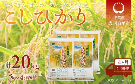 
                  ＜4か月定期便＞ 千葉県産「コシヒカリ」精米 5kg×4か月連続 計20kg
                