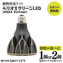 【ふるさと納税】【個数が選べる】植物育成ライト「ヘリオスグリーンLED（Vintage）」(BN043)