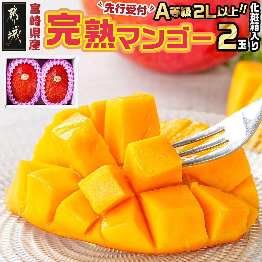 【ふるさと納税】【先行予約！】宮崎県産完熟マンゴー(A等級) 【2L以上×2玉】≪2027年5月中旬以降順次お届け≫ - 完熟マンゴー 2Lサイズ(約350g)2玉入り A等級品 先行受付 期間限定 フルーツ くだもの 送料無料 22-0101【宮崎県都城市】