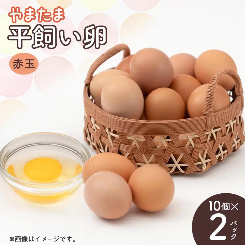 みんなのたまご　赤玉　10個×2パック【配送不可地域：離島・沖縄県】【1735358】