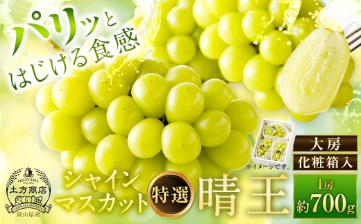 シャインマスカット晴王特選大房約700g化粧箱入