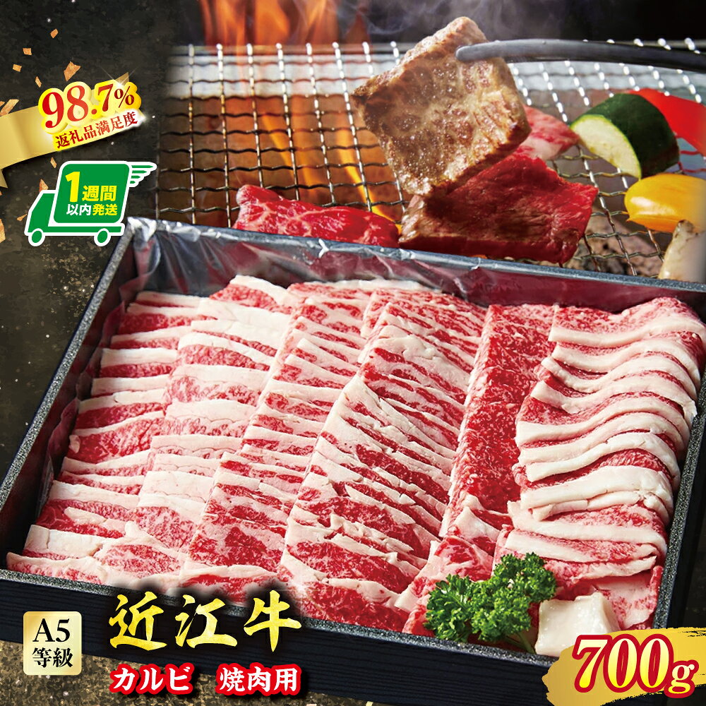 【ふるさと納税】A5等級　未経産雌限定　近江牛カルビ焼肉　700g