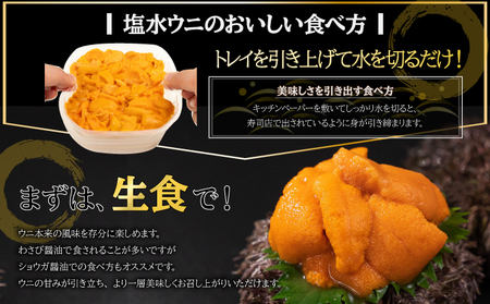 訳あり 北海道 噴火湾産 塩水 バフンウニ 100g 3パック 計300g うに ウニ 雲丹 海鮮 海の幸 魚介類 ウニ丼 お寿司 濃厚 無添加 産地直送 お取り寄せ 山村水産 送料無料