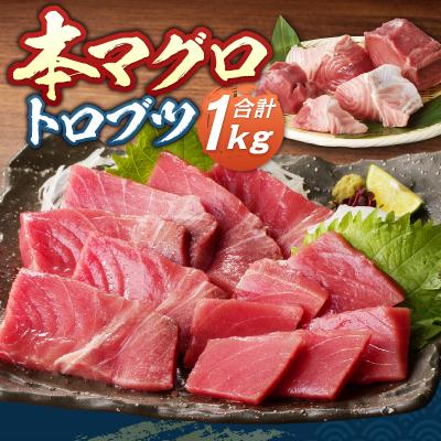 ふるさと納税 焼津市 本マグロ トロ ブツ 1kg(a20-428) |  | 01